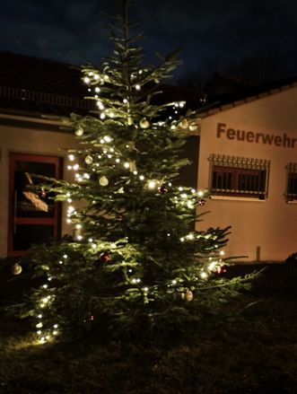 Weihnachtsbaum Breternitz